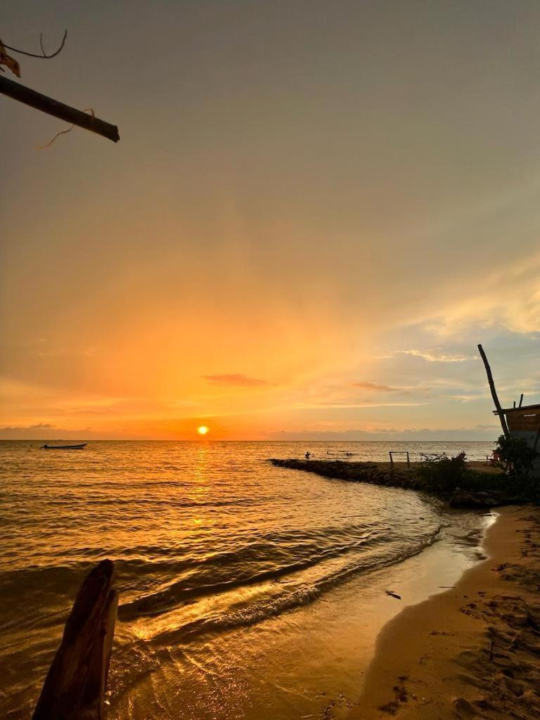 Hostel Beach House Rincón المظهر الخارجي الصورة