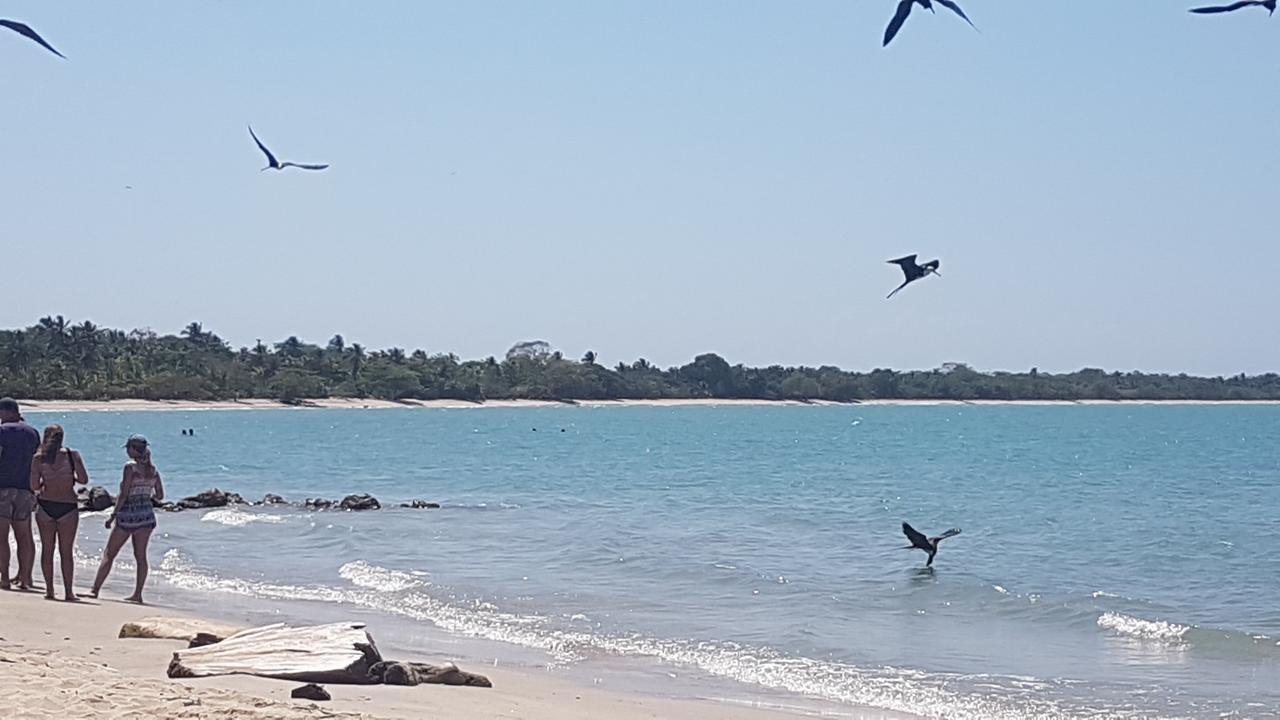 Hostel Beach House Rincón المظهر الخارجي الصورة